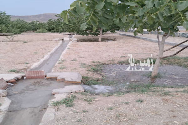 فروش باغ ۹۵۰ متر با یک ربع آب از قنات-3