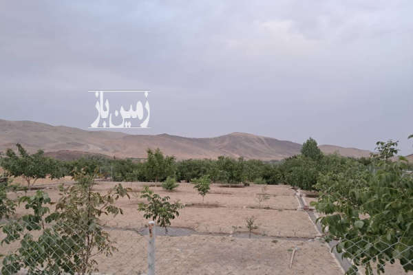 فروش باغ ۹۵۰ متر با یک ربع آب از قنات-4