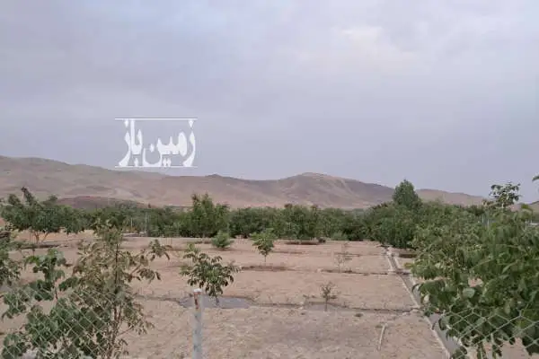 فروش باغ ۹۵۰ متر با یک ربع آب از قنات - تصویر 4