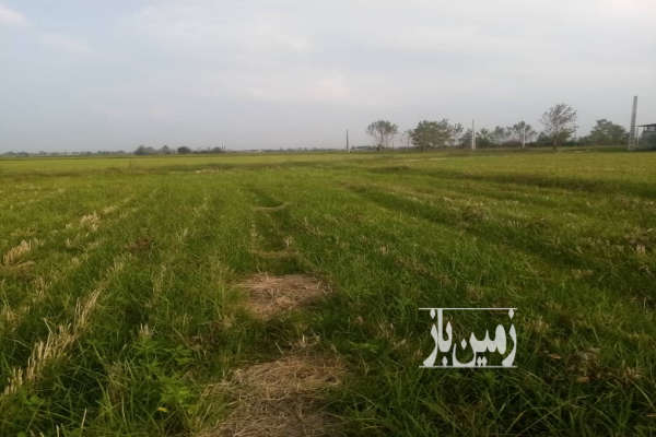 زمین باغی آمل کلوده روستای ورکاده ۱۸۵ متر-1