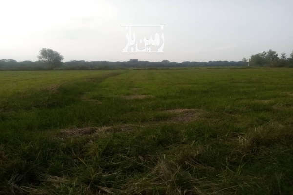 زمین باغی آمل کلوده روستای ورکاده ۱۸۵ متر-2