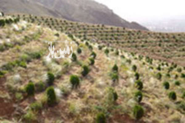 فروش زمین کشاورزی جاده سنندج دیواندره ۱۰۰۰۰ متر-1