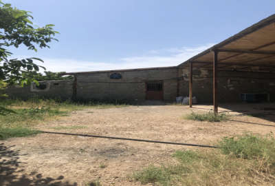 فروش ۴۷۰۰ متر باغ آبیک کاظم آباد جاده احمدآباد مصدق