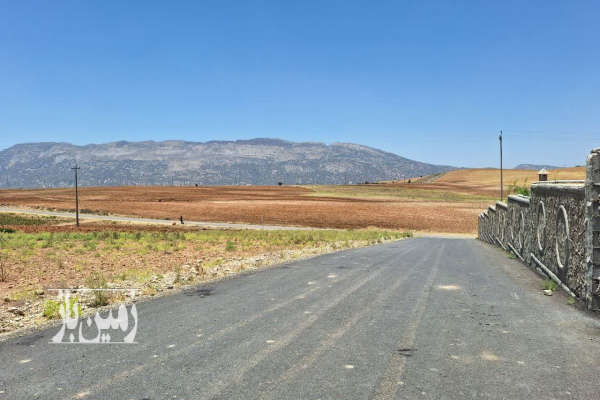 فروش زمین مسکونی در کوهمره سرخی روستای چشمه بردی ۵۰۰ متر-3