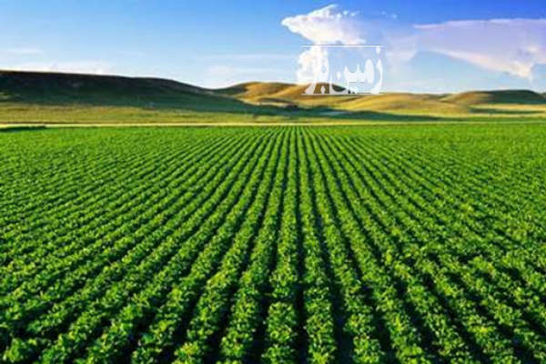 فروش زمین نیر ۲۲۰۰۰ متر قریه علی آباد-1