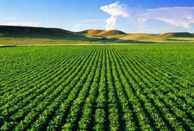 فروش زمین نیر ۲۲۰۰۰ متر قریه علی آباد
