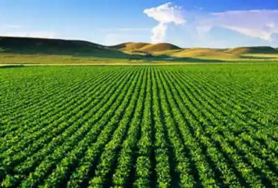 فروش زمین نیر ۲۲۰۰۰ متر قریه علی آباد
