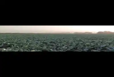 فروش ۳ هکتار زمین کشاورزی جاده قاسم آباد شهرک بختیار