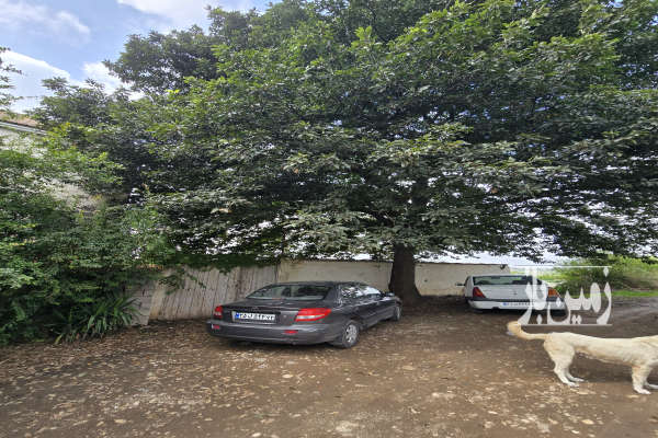 فروش زمین با خونه باغ قائمشهر روستای وسطی کلا ۱۵۰۰ متر-4