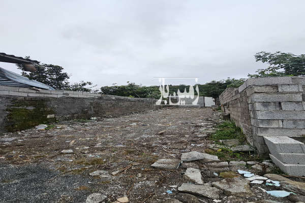 فروش زمین مسکونی فول امکانات در هشتپر ۲۷۸ متر-2