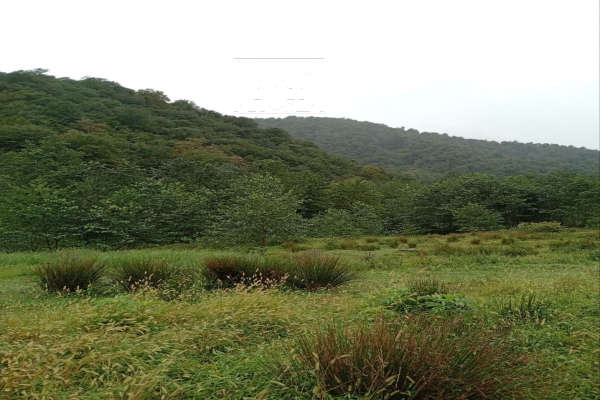 فروش زمین ویلایی ۵۸۰۰ متری روستای رئیسکلای سوادکوه-1