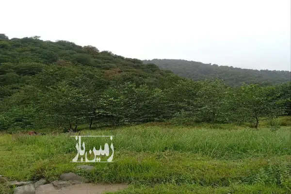 فروش زمین ویلایی ۵۸۰۰ متری روستای رئیسکلای سوادکوه - تصویر 3