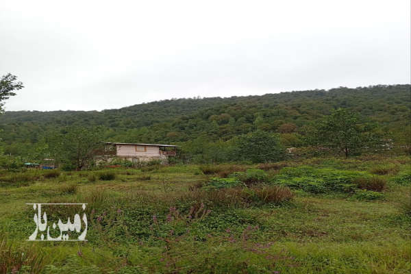 فروش زمین ویلایی ۵۸۰۰ متری روستای رئیسکلای سوادکوه-4