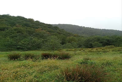 فروش زمین ویلایی ۵۸۰۰ متری روستای رئیسکلای سوادکوه