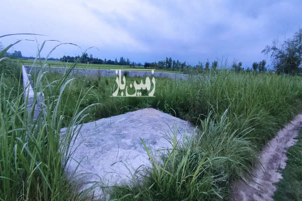 فروش زمین باغی کلوده روستای شومیا ۲۰۰ متر-1