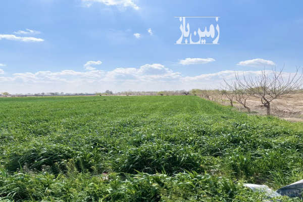 فروش زمین کشاورزی بر جاده اصلی پیشوا روبروی چالتاسیان ۱۶۰۰ متر-2
