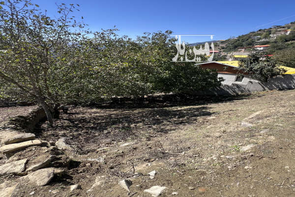 فروش ۲۷۲ متر زمین بافت روستای ییلاقی ممشی-4