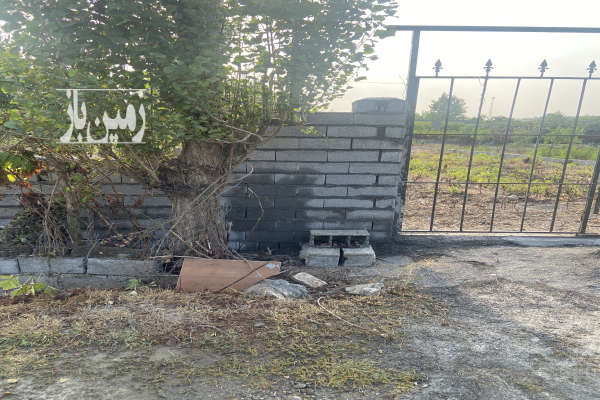 زمین باغی واقع در بابلکنار مرزیکلا سیادرکا-3