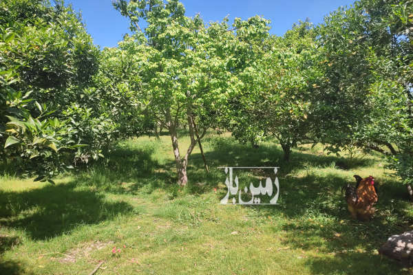 زمین در فریدونکنار روستای کریم کلا درزیکلا ۱۰۰۰ متر-1