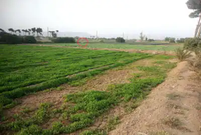 زمین کشاورزی در ری متراژ ۴۲۰۰ گلحصار جاده حسن آباد