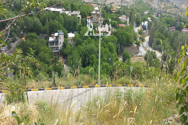 زمین دارای درخت ۱۶ ساله آب دارد جلو دیوار محله کردیان-3