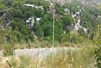 زمین دارای درخت ۱۶ ساله آب دارد جلو دیوار محله کردیان