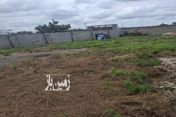 زمین مسکونی با سند تک برگ روستای شهنه کلا-2