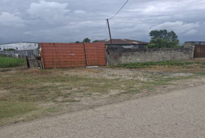 زمین مسکونی با سند تک برگ روستای شهنه کلا