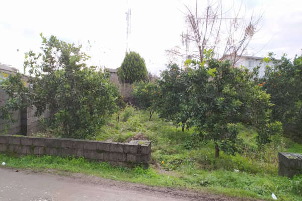 زمین با کاربری مسکونی قابل ساخت تنکابن شیرود ۳۴۲ متر-1