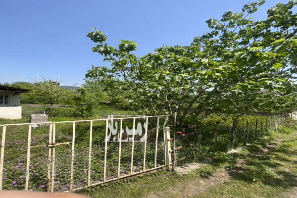 زمین مسکونی ۴۳۲ متر اسکولک رستم آباد آماده ساخت-1