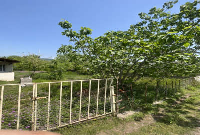 زمین مسکونی ۴۳۲ متر اسکولک رستم آباد آماده ساخت