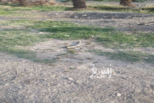 زمین مسکونی ایرانشهر خیابان فردوسی ۲۵۰ متر-3