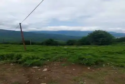 زمین قابل ساخت ۱۸۰ متری روستای سنگچال آمل