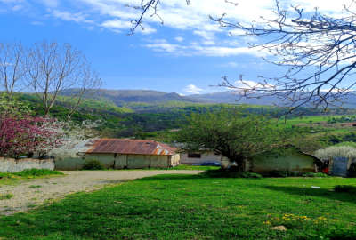 زمین قابل ساخت ۱۸۰ متری روستای سنگچال آمل