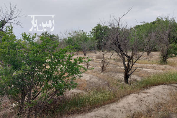 زمین ۱۰۵۰ متر کشاورزی شهرری روستای شکرآباد-2