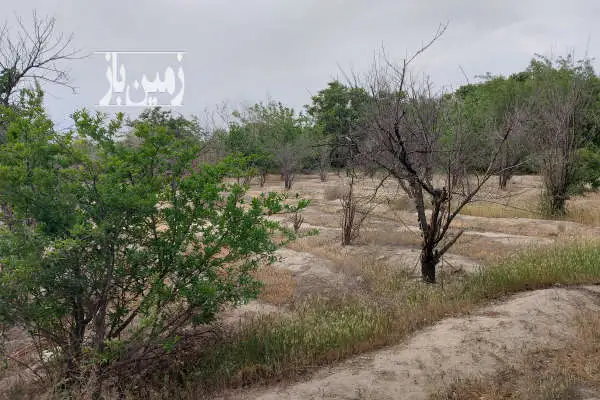 زمین ۱۰۵۰ متر کشاورزی شهرری روستای شکرآباد - تصویر 2