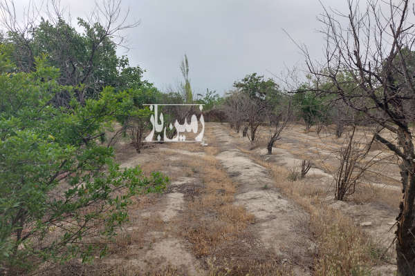زمین ۱۰۵۰ متر کشاورزی شهرری روستای شکرآباد-3