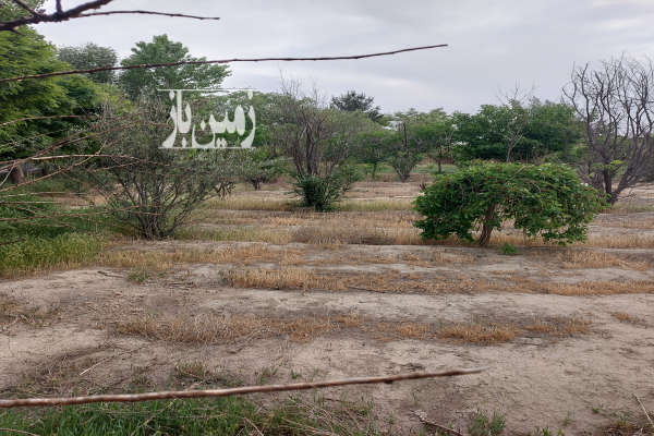 زمین ۱۰۵۰ متر کشاورزی شهرری روستای شکرآباد-4