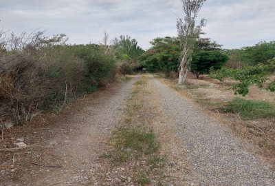 زمین ۱۰۵۰ متر کشاورزی شهرری روستای شکرآباد