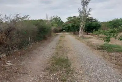 زمین ۱۰۵۰ متر کشاورزی شهرری روستای شکرآباد