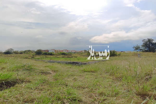 زمین داخل بافت تازه آباد چالوس ۲۰۶ متر-1