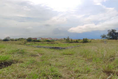 زمین داخل بافت تازه آباد چالوس ۲۰۶ متر