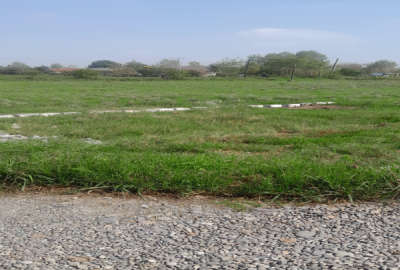 زمین مسکونی با تایید بنیاد مسکن سنگر روستای بنکده بن