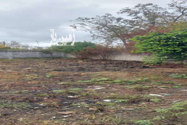 زمین ۳۰۰ متری داخل بافت دور دیوار روستای خنار درویش-2