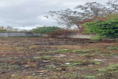 زمین ۳۰۰ متری داخل بافت دور دیوار روستای خنار درویش