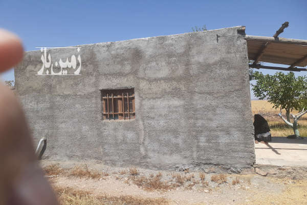 باغ انگور گردو بادام و میوه ضیاآباد روستای شنین دودانگه-4