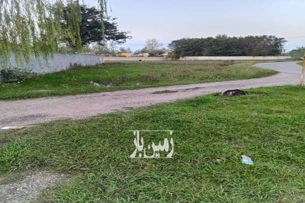 زمین مسکونی با پروانه بر اسفالت دارسازی روستای دافچاه-3