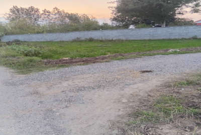 زمین مسکونی با پروانه بر اسفالت دارسازی روستای دافچاه