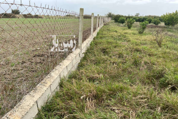 باغ هلو فنس کامل قطره ای با آبندان روستای زینه بند-2