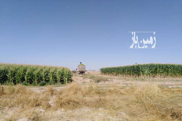 فروش ۲۰ هکتار زمین باغی و زراعی با چاه آب در مشهد-1
